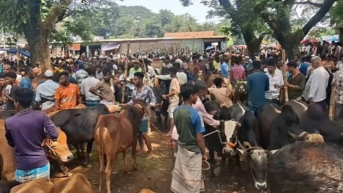 খাস আদায় ৪০ লাখ, কোষাগারে ১৫ লাখ