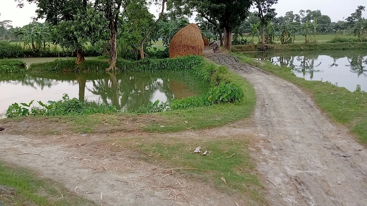 গৌরীপুরে হারিয়ে যাচ্ছে খাল-বিল, বাড়ছে জলাবদ্ধতা