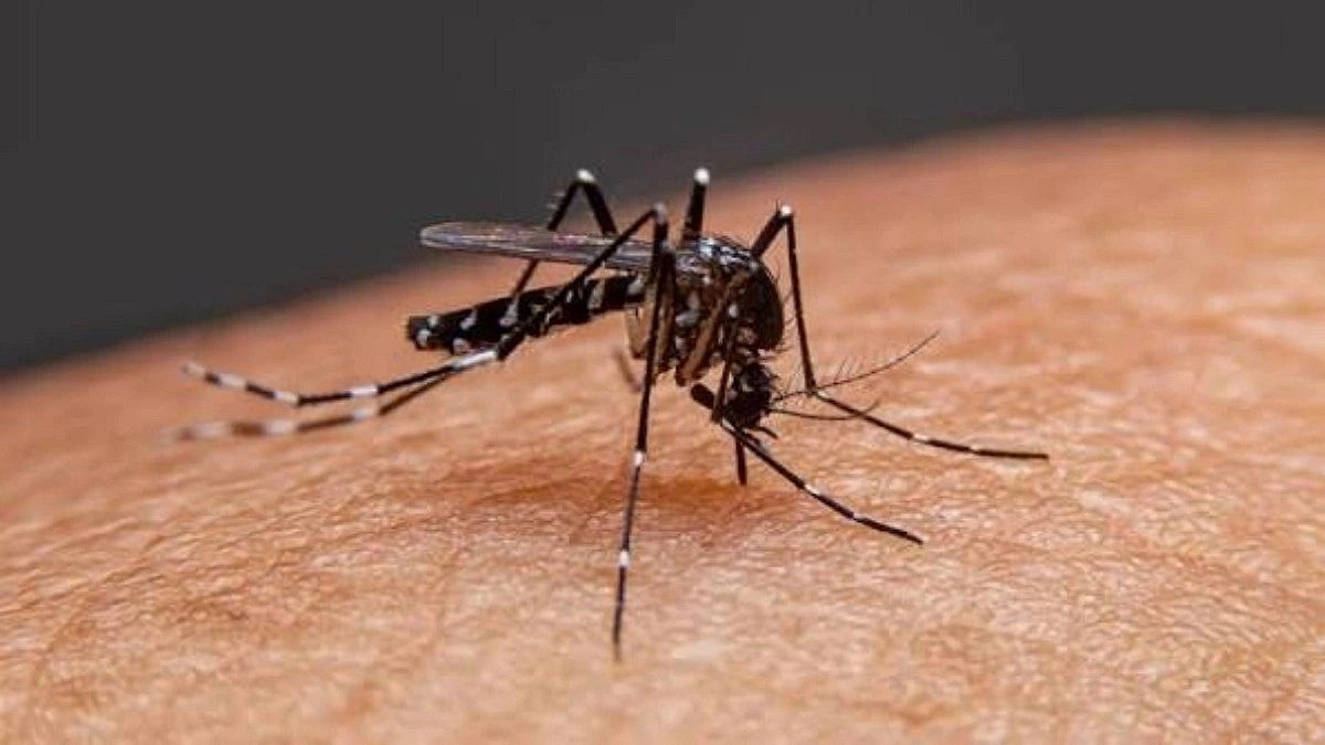 ডেঙ্গুতে আরও ১ মৃত্যু, হাসপাতালে ১৯৮