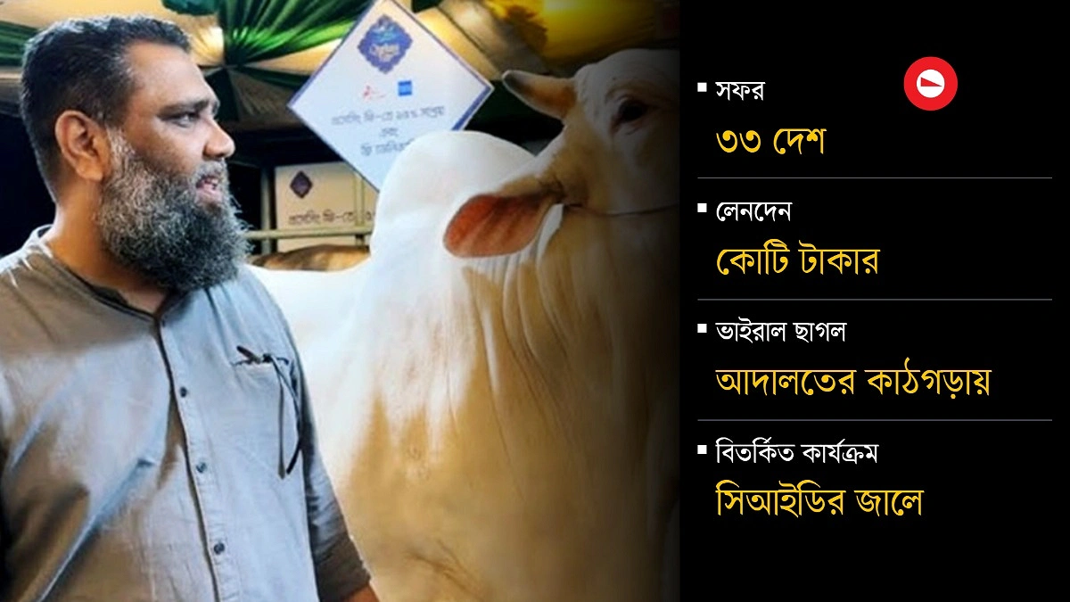 গাড়ি-গয়না কিছুই নেই শতকোটির সাদিক অ্যাগ্রোর!