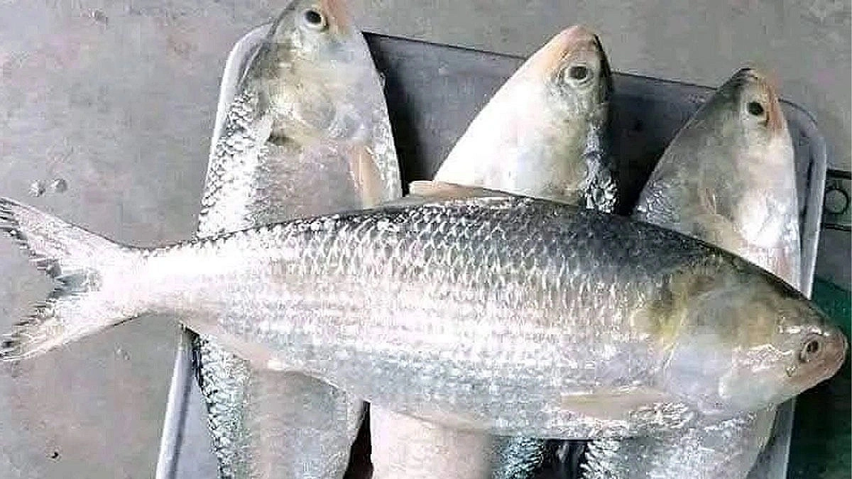 উৎপাদন কমার পাঁচ কারণ