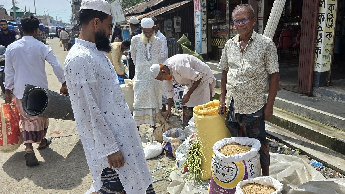 আমন মৌসুমে সরকারি বীজে আস্থা হারিয়ে খোলা বীজে ঝুঁকছেন বারহাট্টার কৃষক