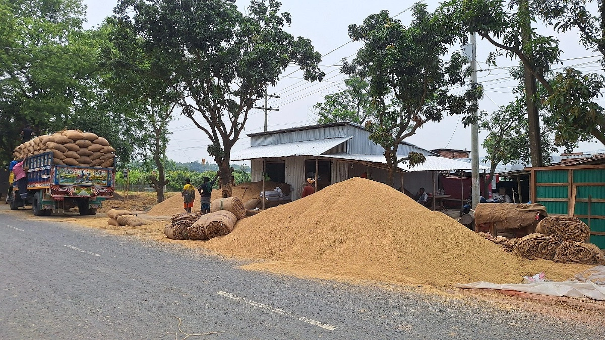 ভরা মৌসুমেও চড়া চালের দাম, বাজারে অশনি সংকেত