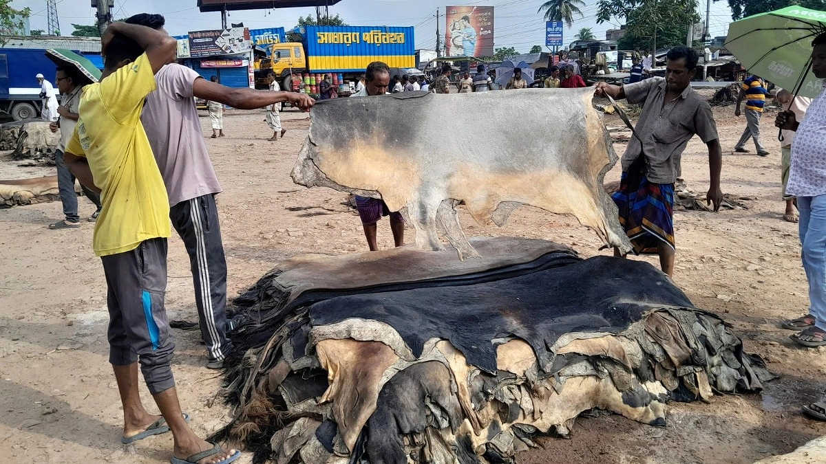 চামড়া বেচে খরচ তুলতে হিমশিম ব্যবসায়ীরা
