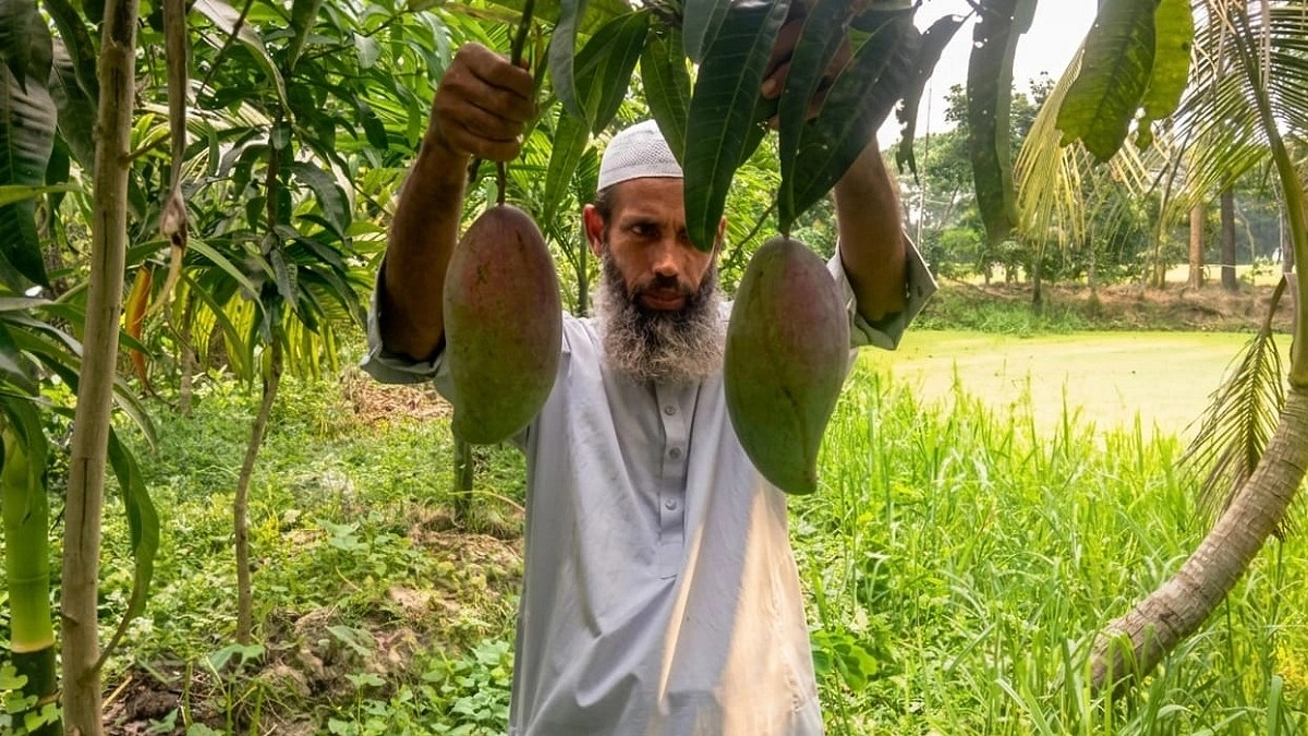 লোনা মাটির বুকে মিষ্টি স্বপ্নের বাগান