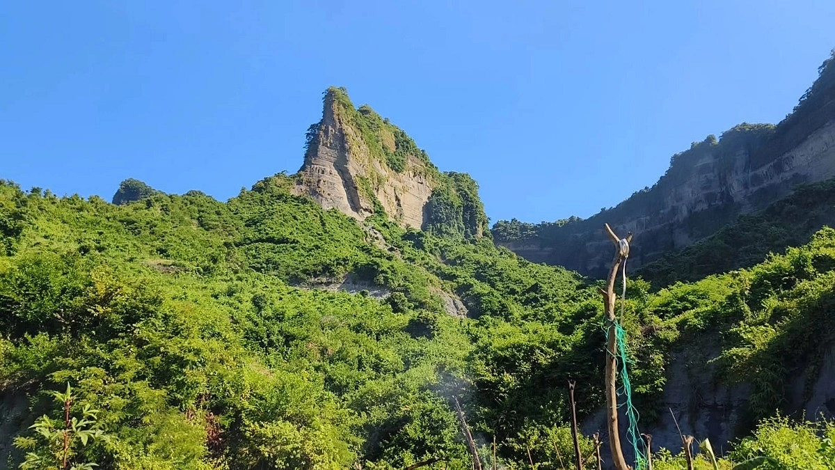 প্রকাশ্যে অস্ত্র ঠেকিয়ে চিকিৎসককে অপহরণ