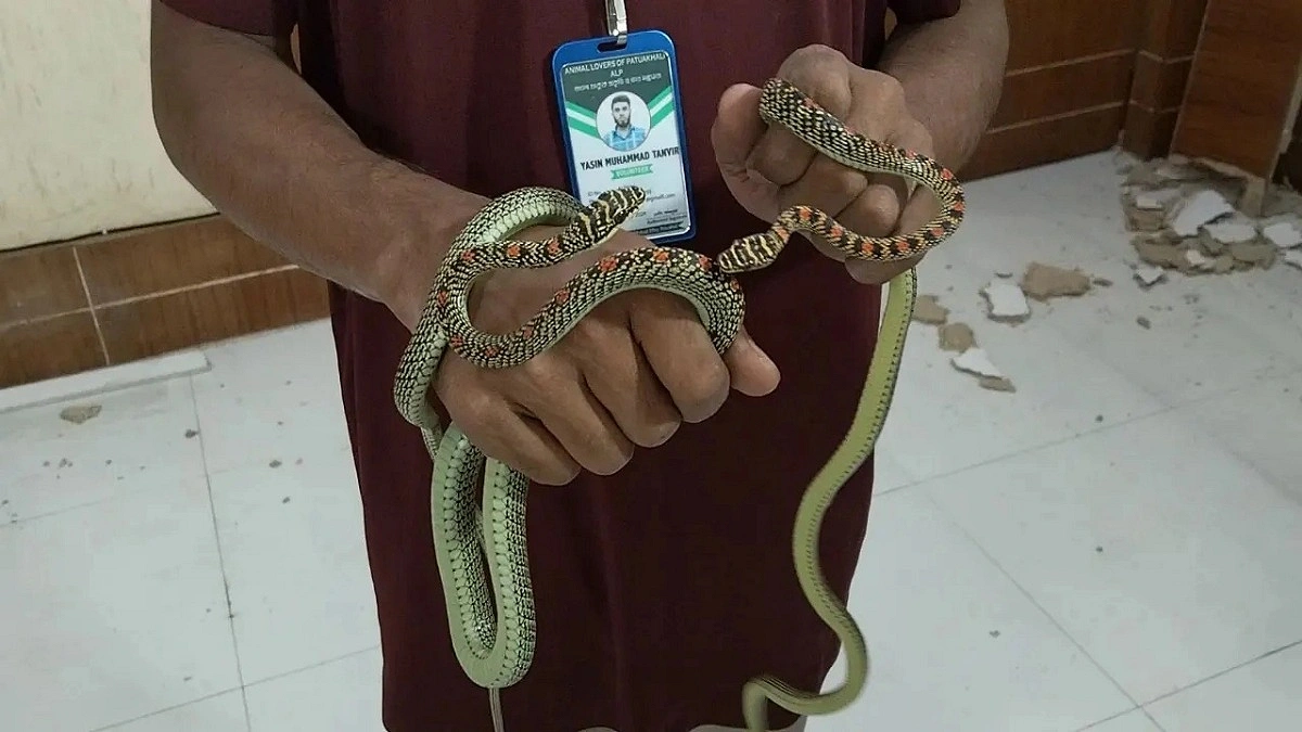ডিআইজির কার্যালয়ে দুই ‘কালনাগিনী’