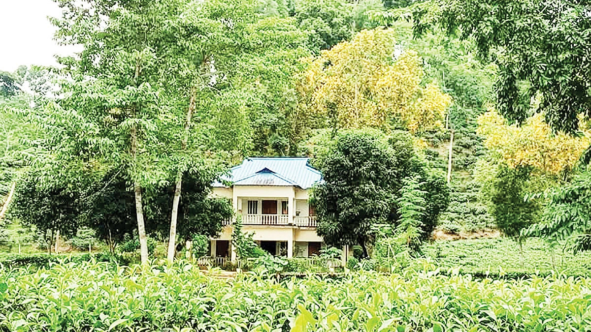 এই বর্ষায় চায়ের রাজ্যে