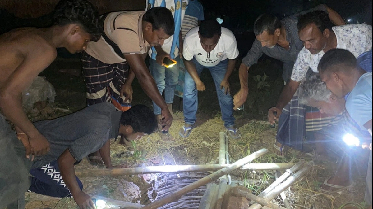 ‘সেই’ সাজিদের পর এবার মহিষের প্রাণহানি