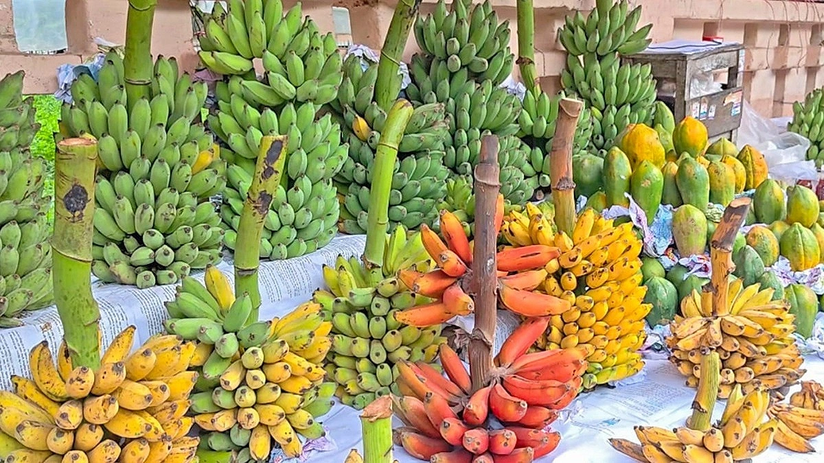 অর্গানিক নিত্যপণ্যের বাজার আগ্রাবাদ সরকারি অফিসের গেটে