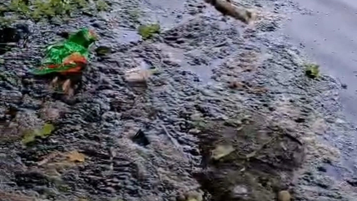 মিলের পানিতে বিলের সর্বনাশ