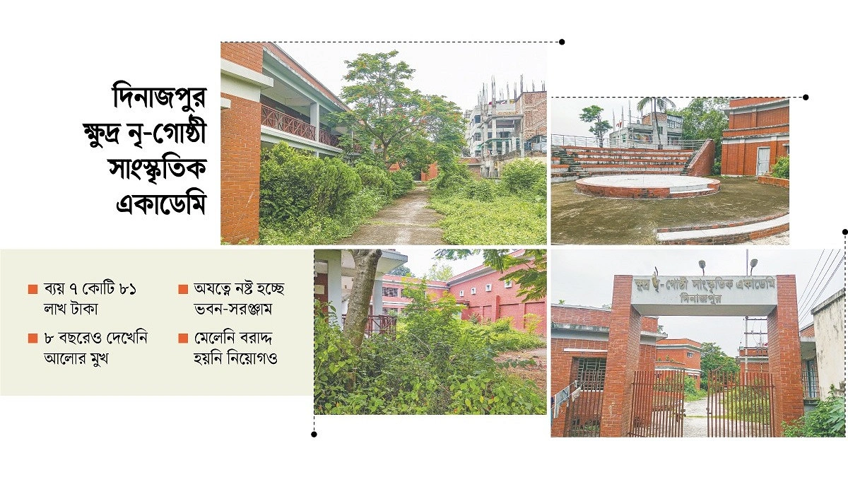সংস্কৃতির আঙিনা যেন ‘ভূতের বাড়ি’