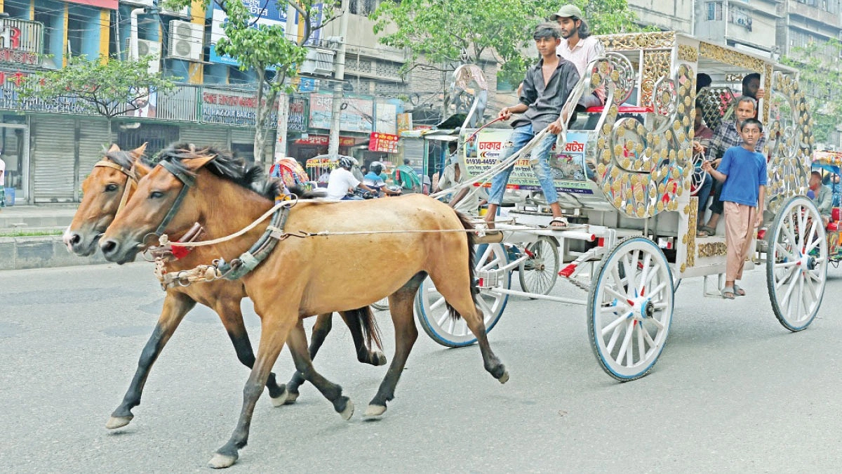 নগরের রাজপথে টমটম