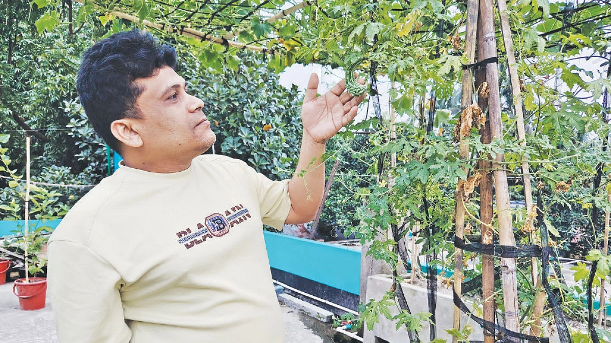 নাজমুলের ছাদবাগান