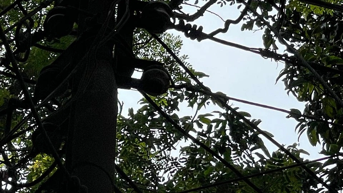 ব্রাহ্মণবাড়িয়ায় চুরির হিড়িক, বাড়ছে উদ্বেগ