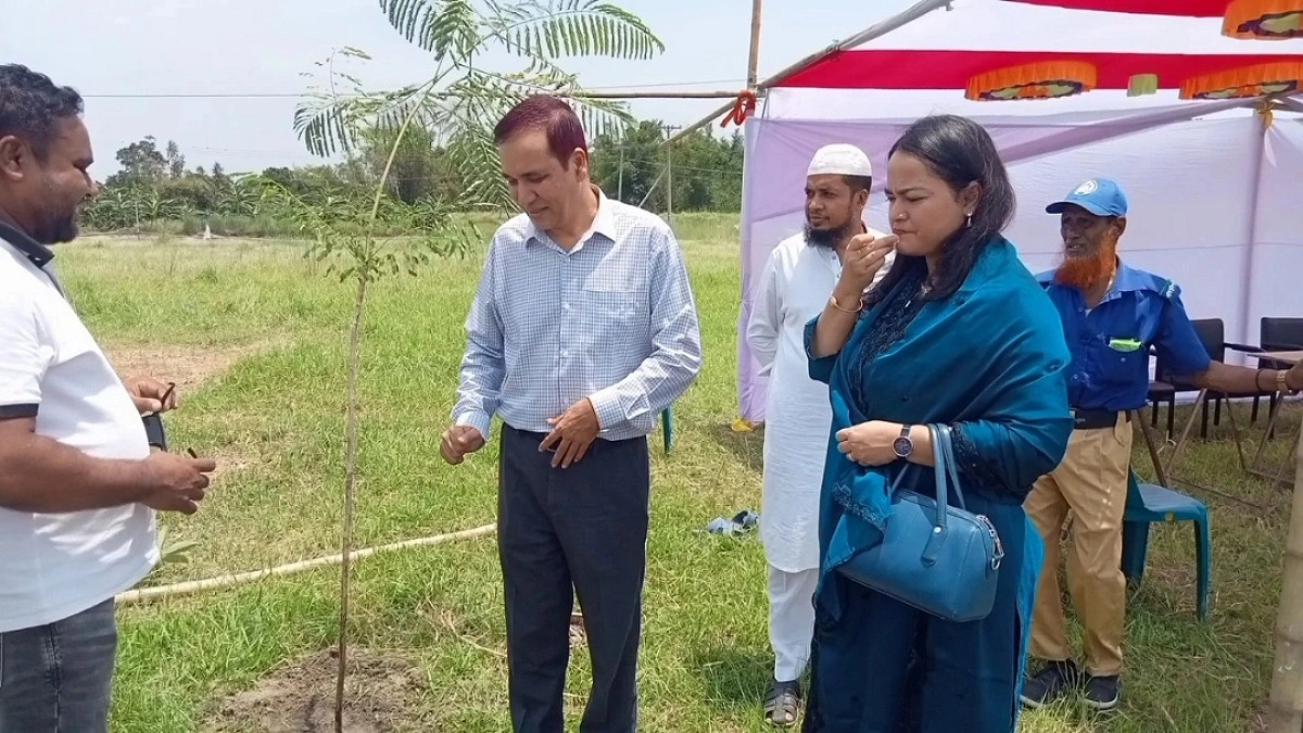 পদ্মাসেতু নদীশাসন বাঁধে ১ হাজার ৩০০ গাছের চারা রোপণ