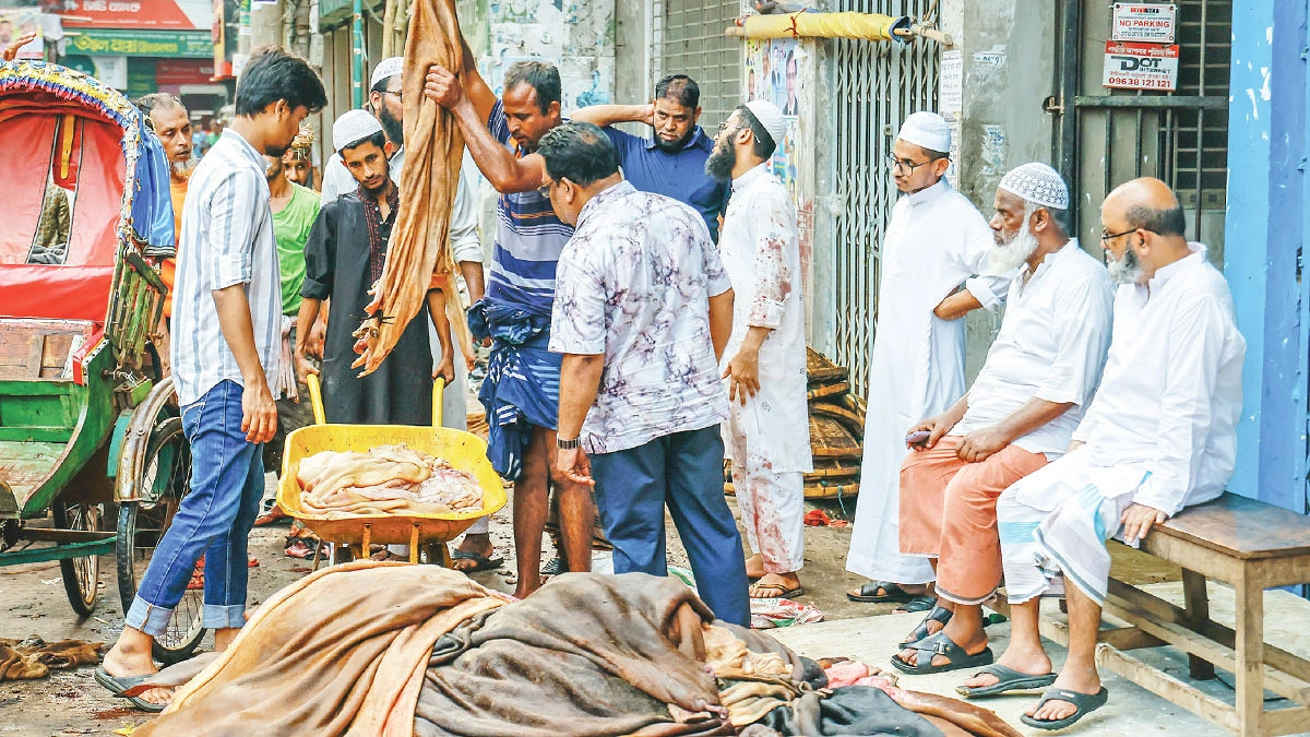পশুর কাঁচা চামড়ায় অবহেলা