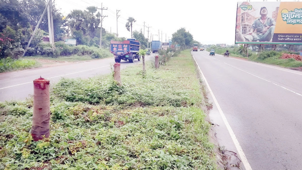 বিলবোর্ড দৃশ্যমান করতে গাছ ‘অদৃশ্য’