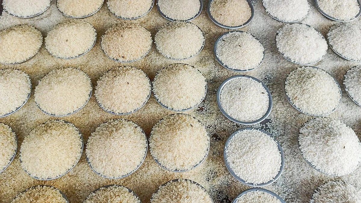 চালের বাজারে অস্থিরতা, বেড়েছে ২ থেকে ১০ টাকা