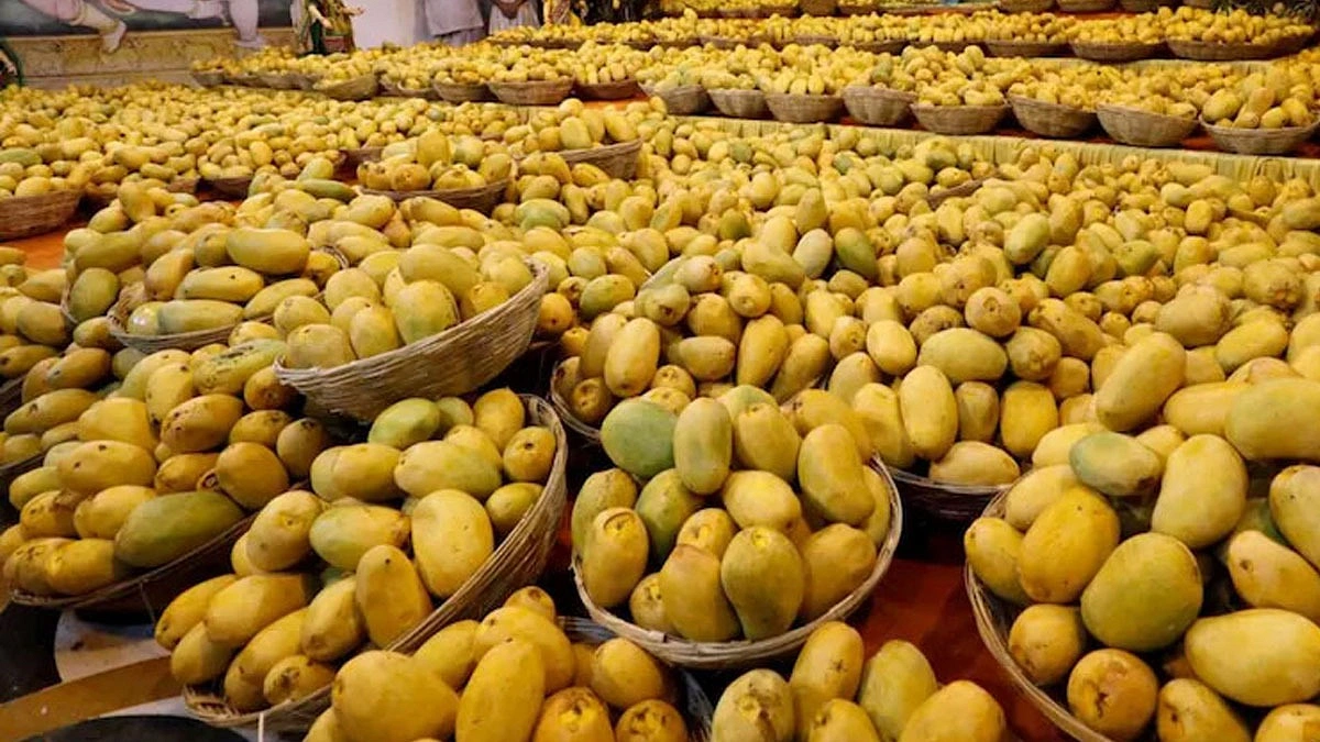 জাপানের পর নেপালেও বন্ধ ভারতীয় আম