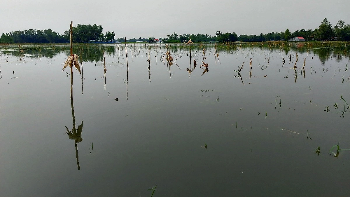 বিপৎসীমার ওপরে তিস্তার পানি, বন্যার শঙ্কা