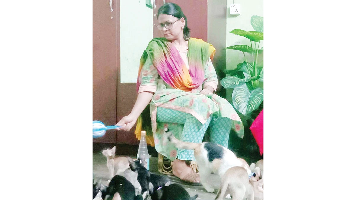 প্রাণীর প্রতি শাম্মীর ভালোবাসা