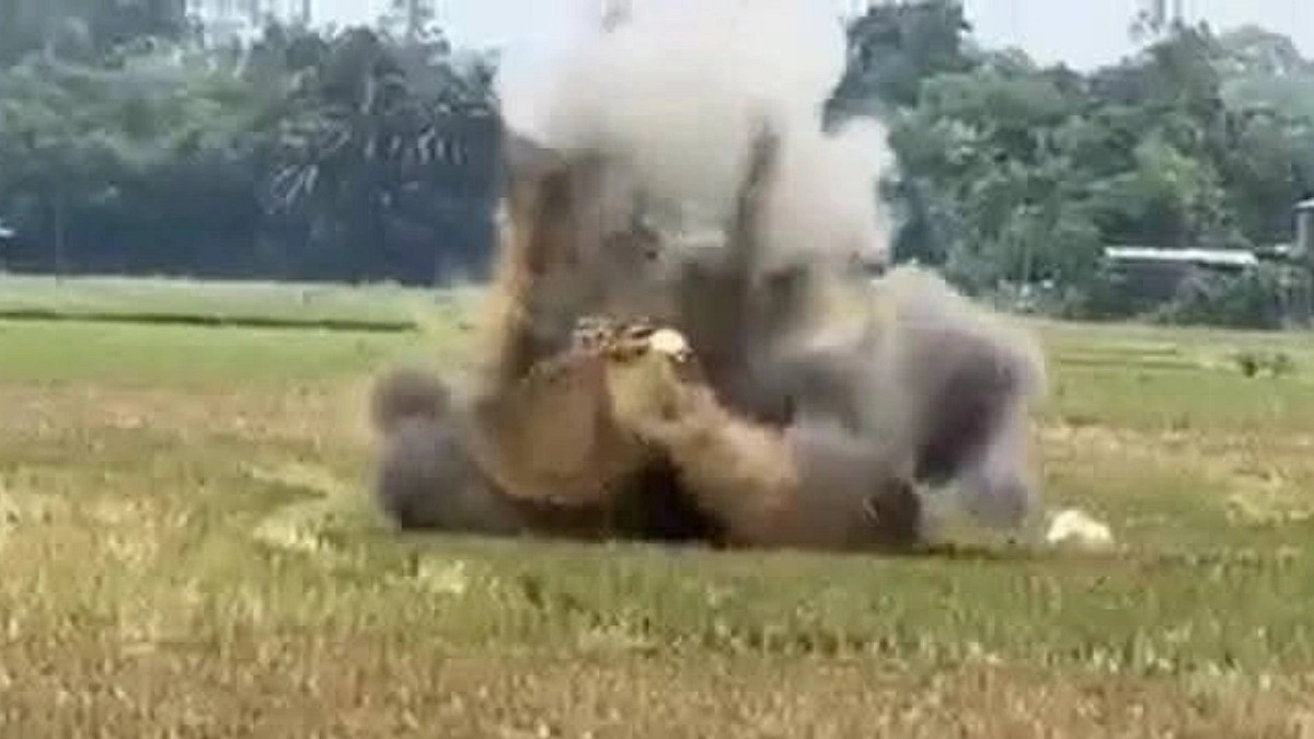 ঈদগাঁওয়ে কামানের ৩ গোলা ধ্বংস