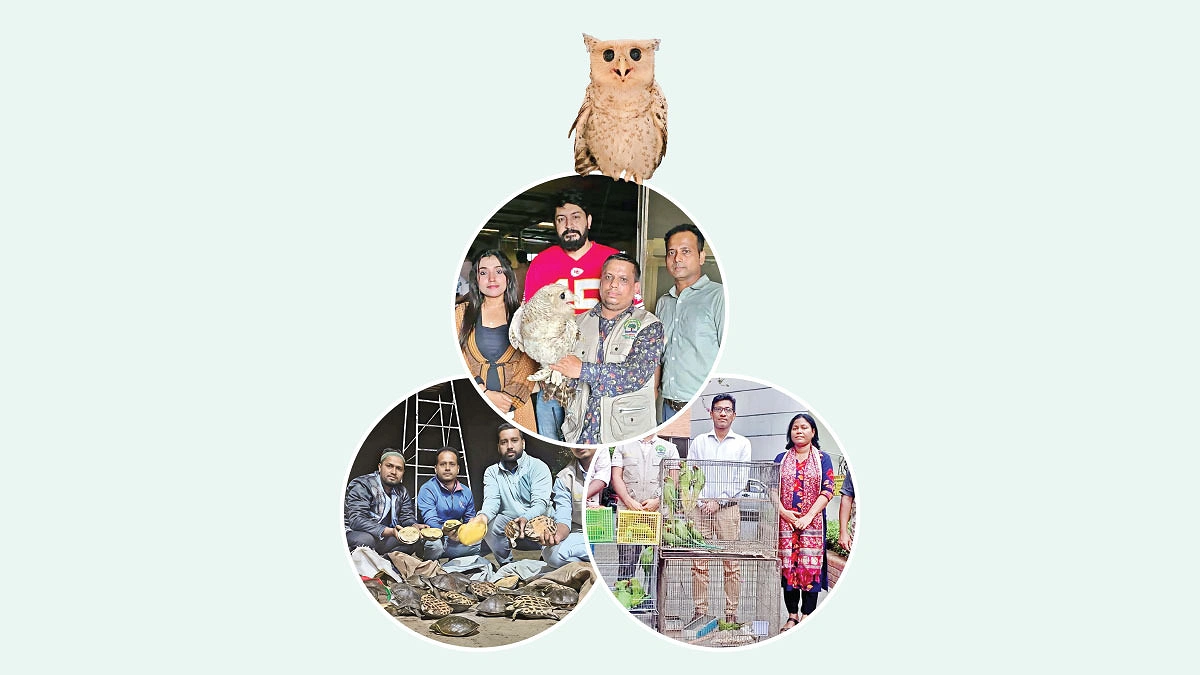 বিপন্ন প্রাণের পাহারাদার