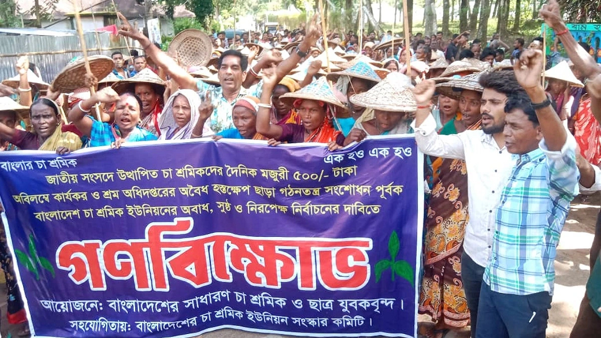 চা শ্রমিকদের বিক্ষোভ, দাবি পূরণ না হলে কঠোর কর্মসূচির ঘোষণা
