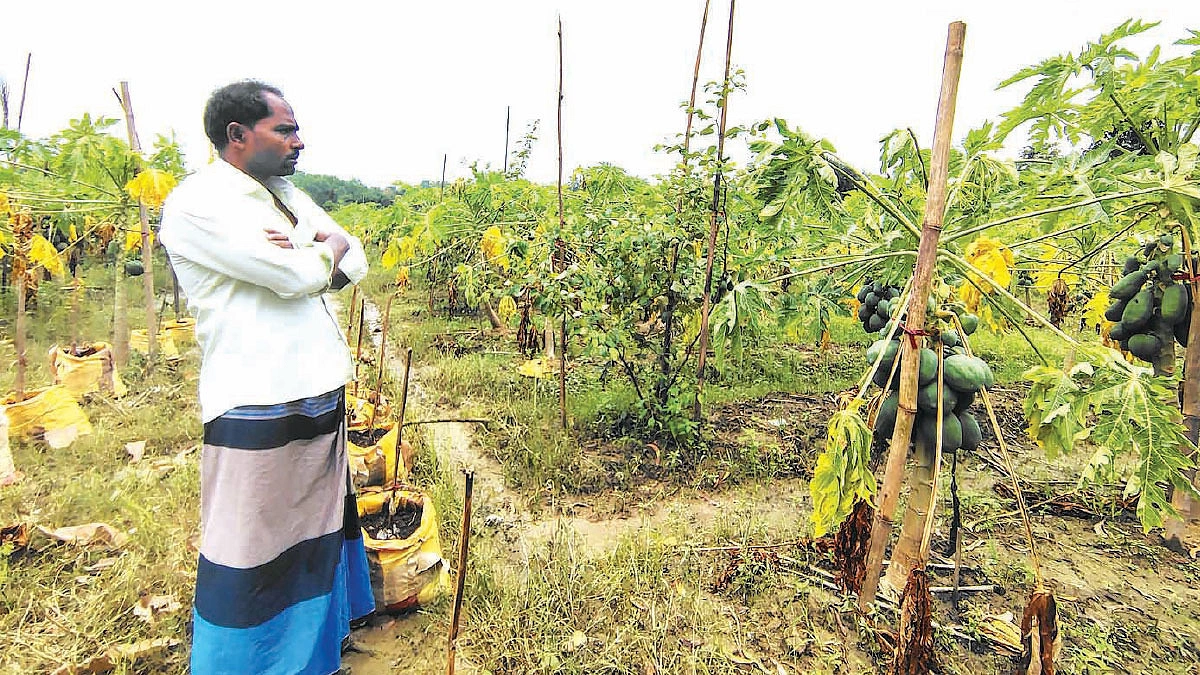 স্ত্রীর স্বর্ণালংকার বিক্রি করে গড়েছিলেন বাগান