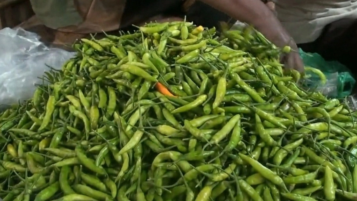 হিলিতে কাঁচা মরিচের কেজি ২৮০