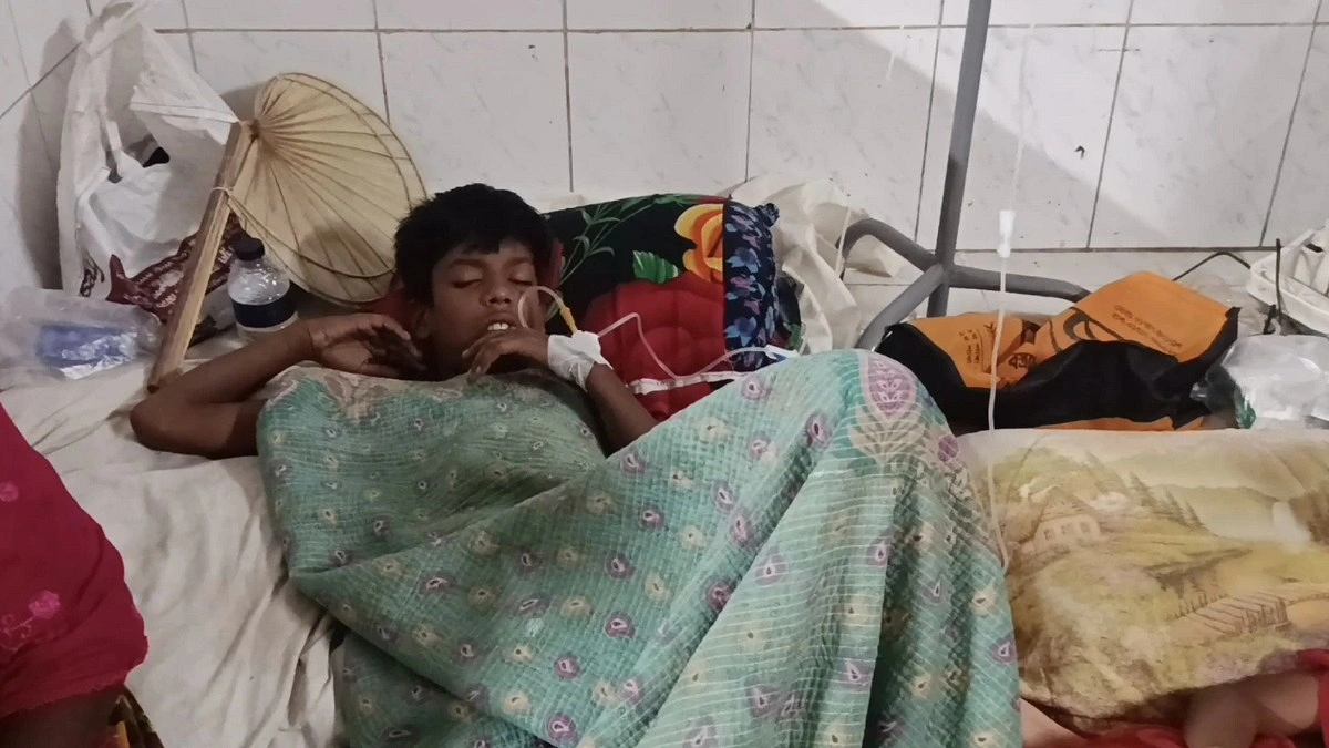 বুনাে ফল খেয়ে হাসপাতালে ১৪ শিশু