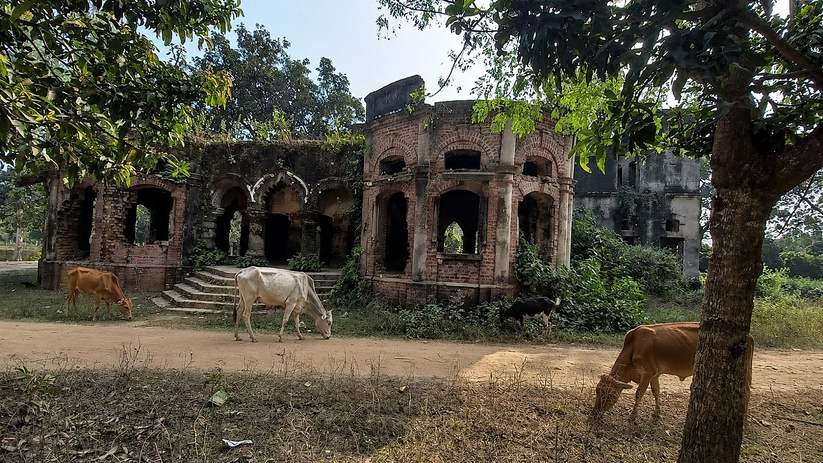 ঐতিহাসিক জমিদারবাড়িটি এখন গরু-ছাগলের চারণভূমি