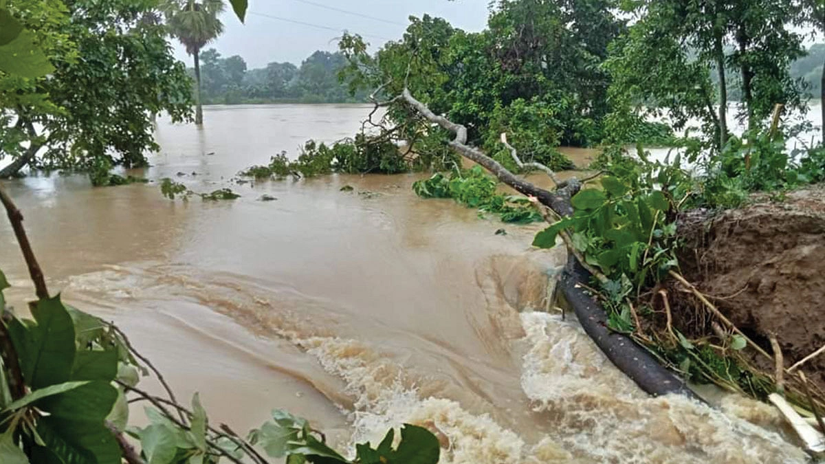 নড়বড়ে বাঁধে প্লাবনের ভয়