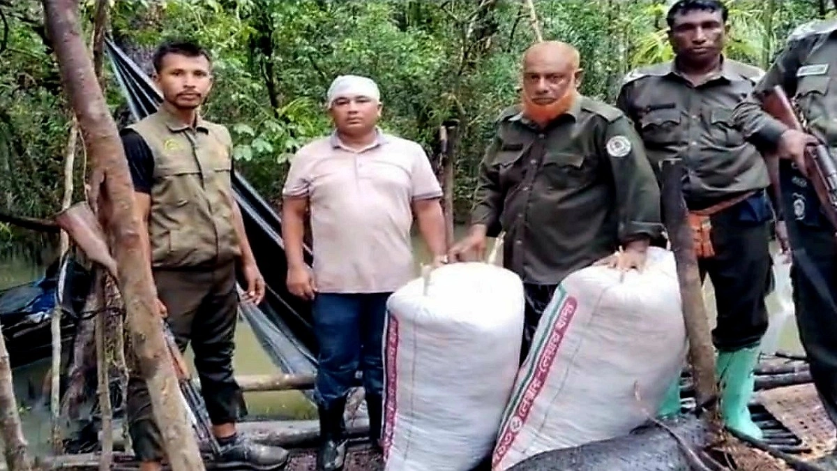 সংরক্ষিত বনে আগুন জ্বালিয়ে তৈরি হচ্ছিল বিষাক্ত চিংড়ির শুঁটকি