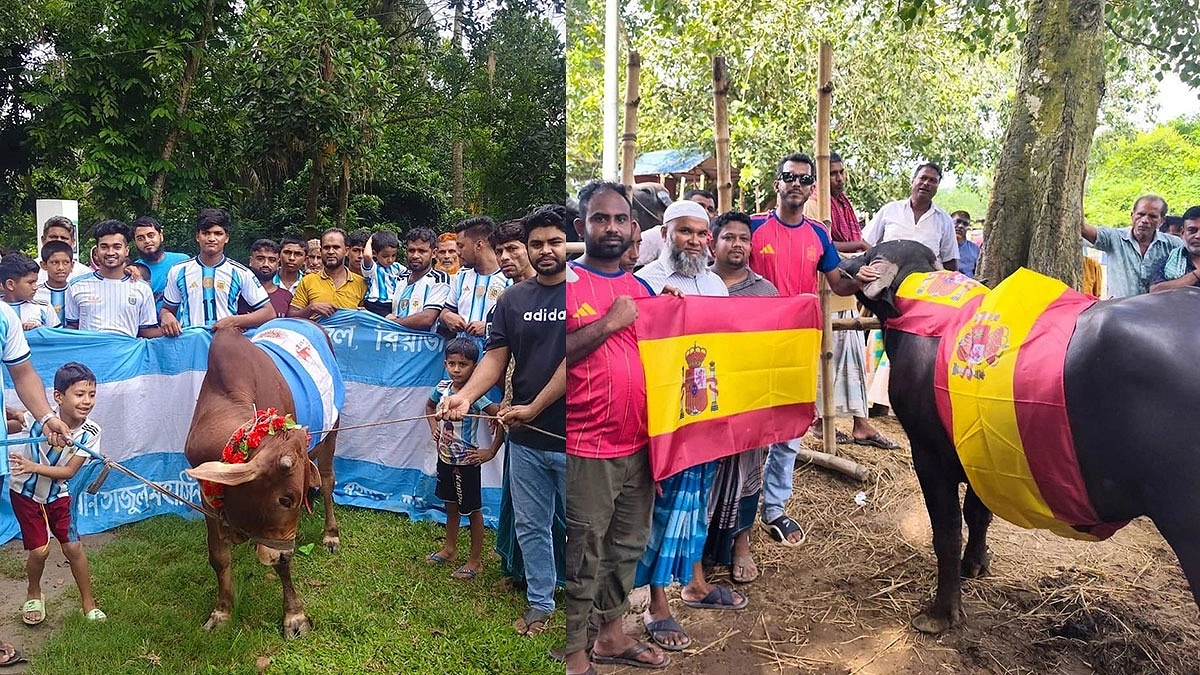 আর্জেন্টিনা না স্পেন, ফলের খোঁজে ভূরিভোজ