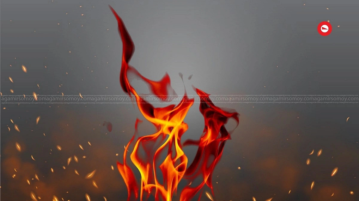 হালিশহরে বসতঘরে আগুন