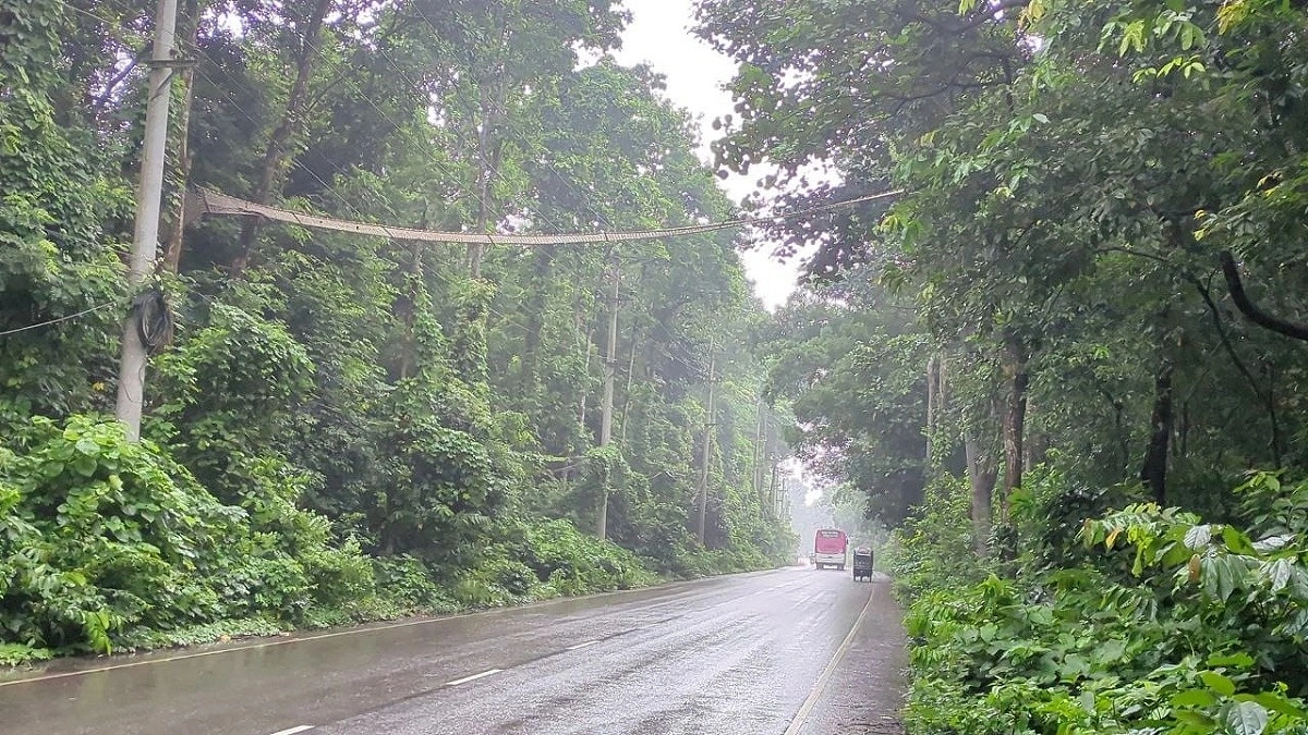 মধুপুরে বন্যপ্রাণীর নিরাপদ চলাচলে পাঁচ রোপওয়ে করিডোর