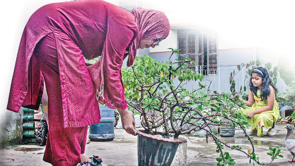 ডেঙ্গু জ্বর সতর্ক হোন এখনই