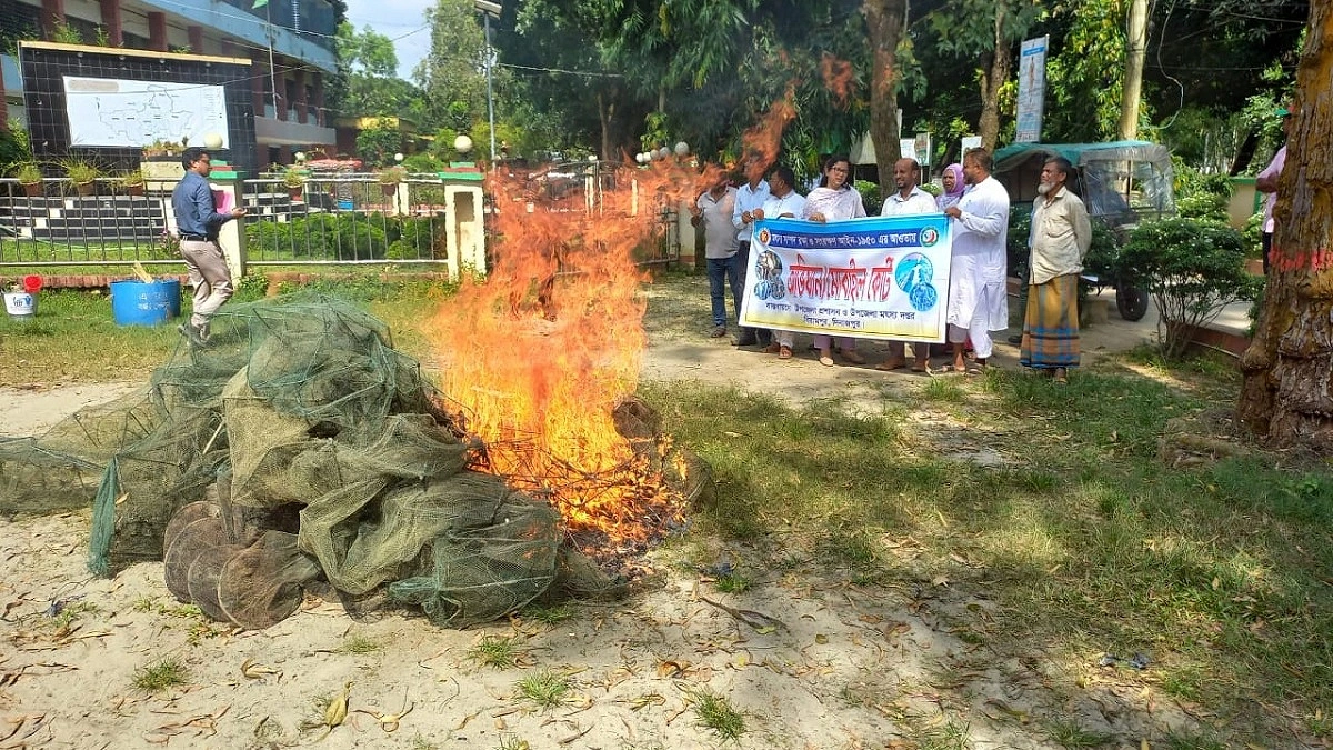 বিরামপুরে অবৈধ মাছ ধরার জাল জব্দ করে আগুনে পুড়িয়ে ধ্বংস