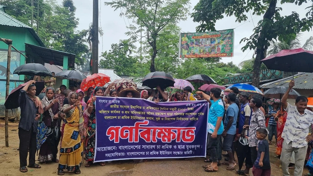 ৫০০ টাকা মজুরির দাবিতে শ্রীমঙ্গলে চা শ্রমিকদের বিক্ষোভ