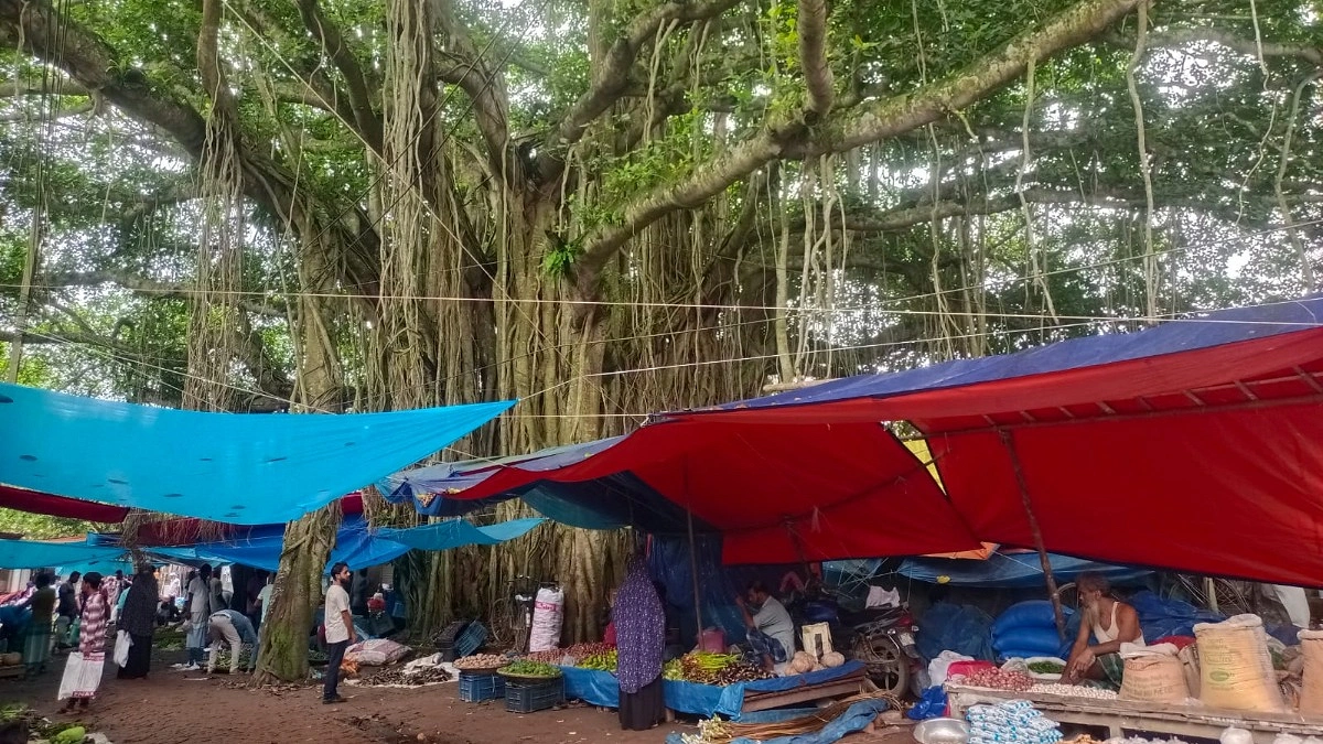 শতবর্ষী বটের ছায়ায় প্রাণবন্ত কালিদাস হাট