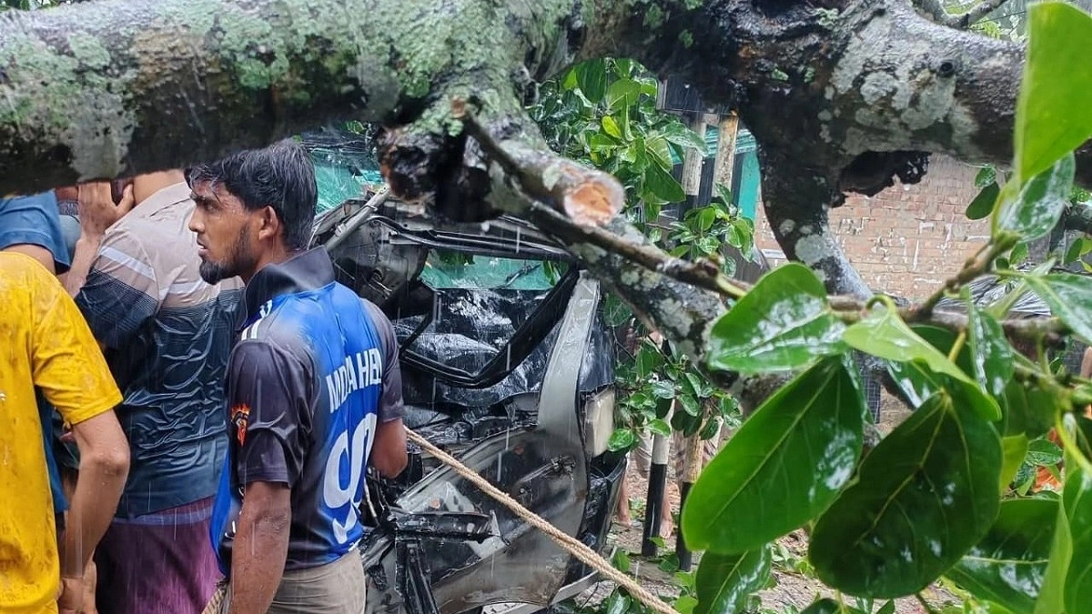 চলন্ত মাইক্রোবাসে পড়ল বিশাল গাছ, প্রাণে বাঁচলেন যাত্রীরা