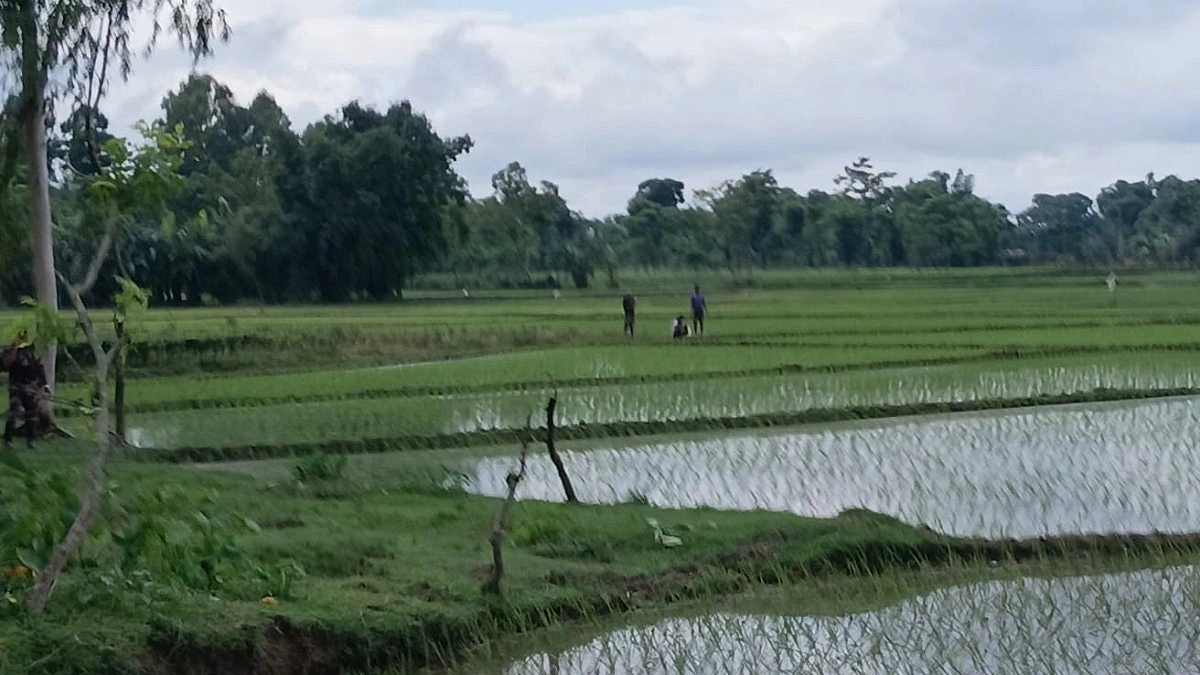পাটগ্রাম সীমান্তে খুঁটি বসানোর চেষ্টা, বিজিবির বাধায় পিছু হটল বিএসএফ