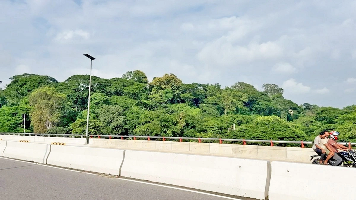 ‘মেঘের কোলে রোদ হেসেছে’