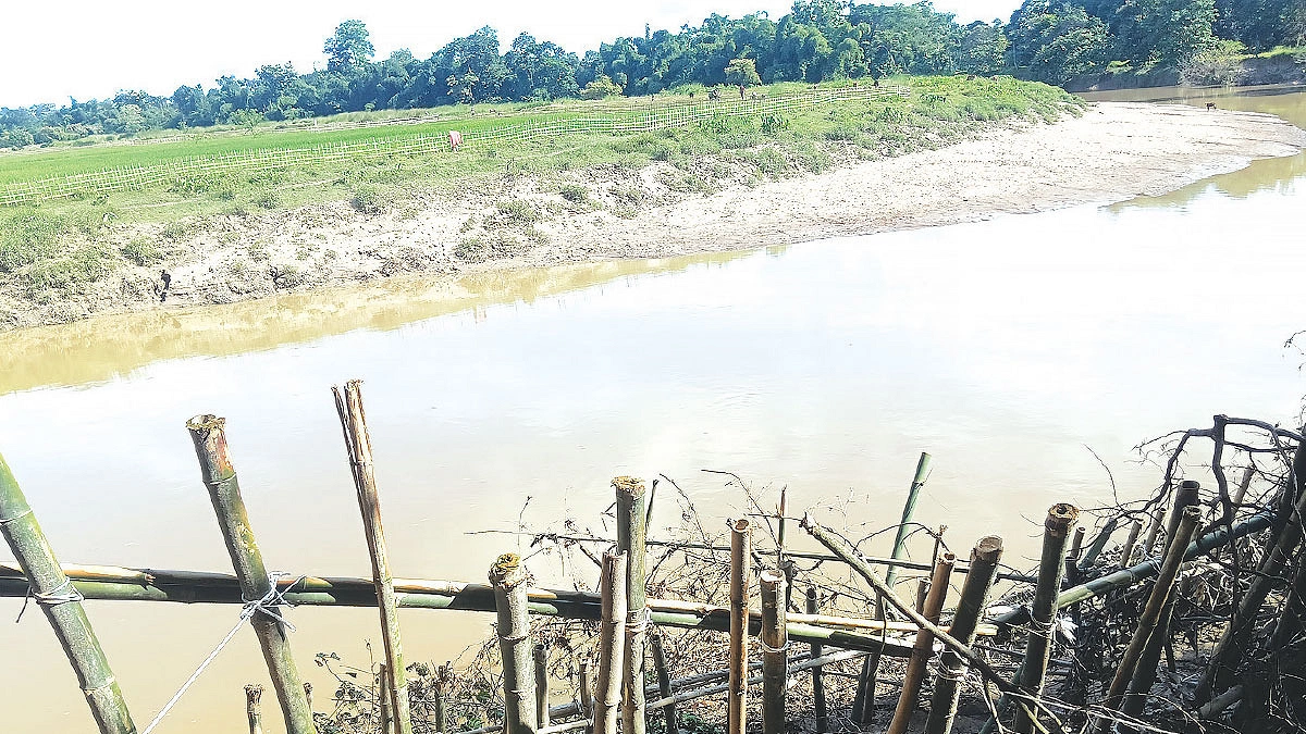 চোখের সামনে চাষ করছেন ভারতের লোকজন