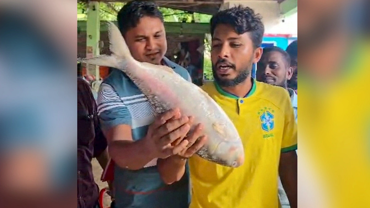 একটি ইলিশের দামই ৭ হাজার টাকা
