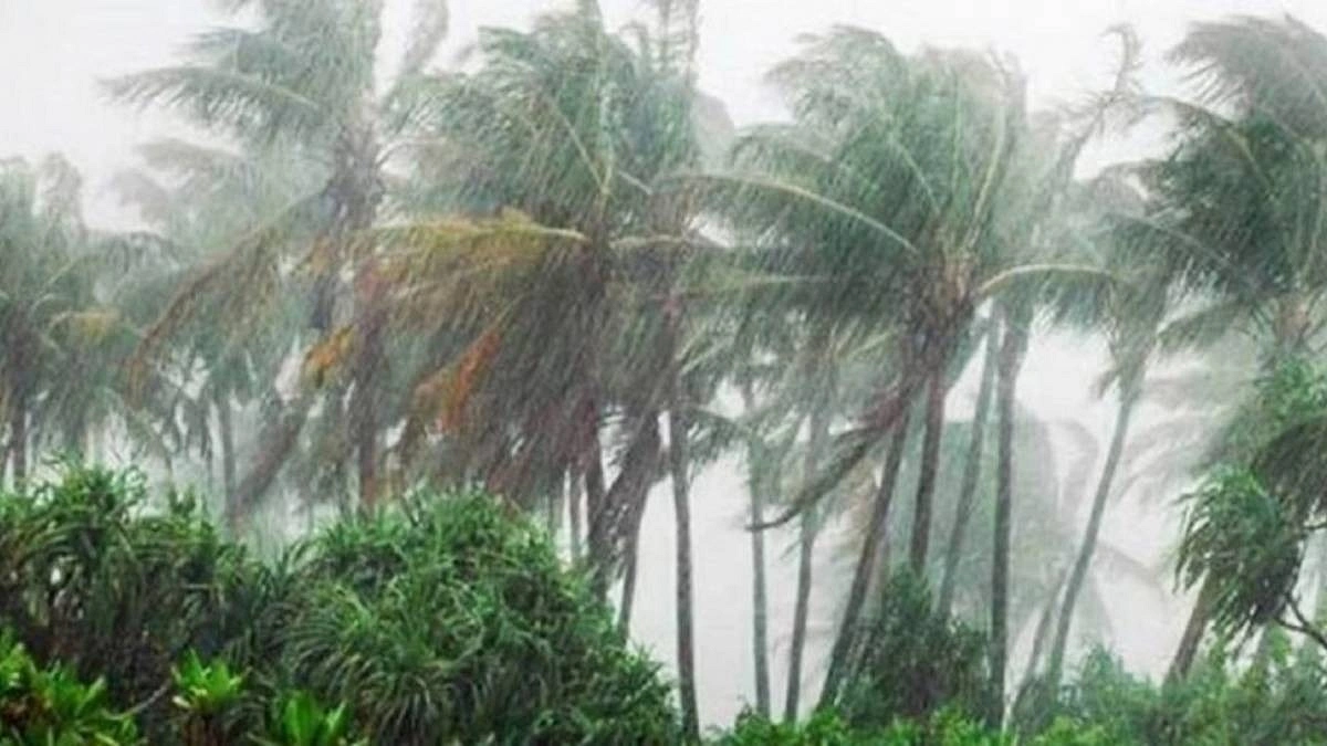 বঙ্গোপসাগরে লঘুচাপ, দুই উপকূলে ভারী বৃষ্টির সম্ভাবনা