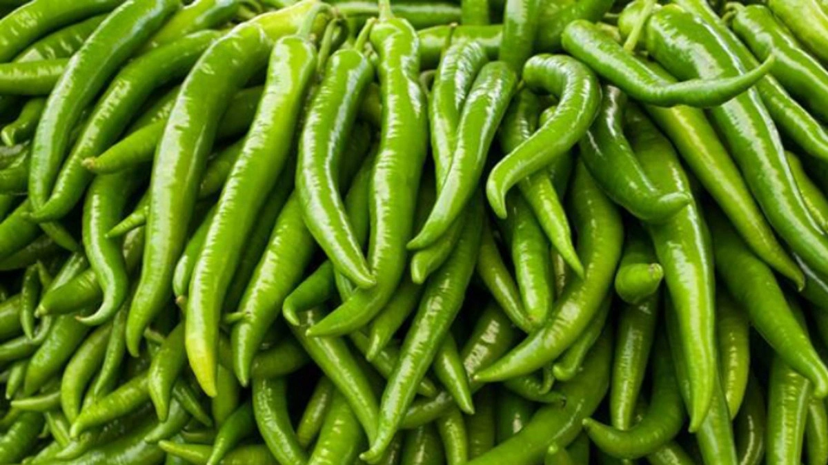 দ্বিগুণ ঝাঁজ কাঁচা মরিচে