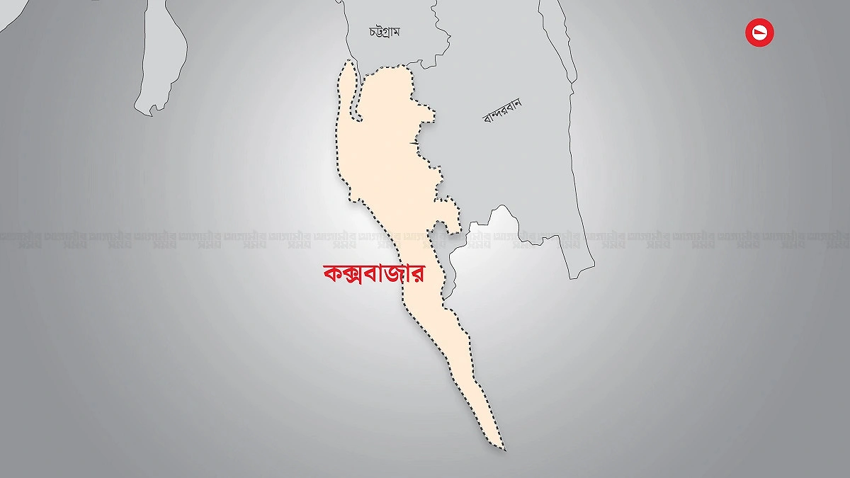 চকরিয়ায় পচল ১১৫ হেক্টর বীজতলা